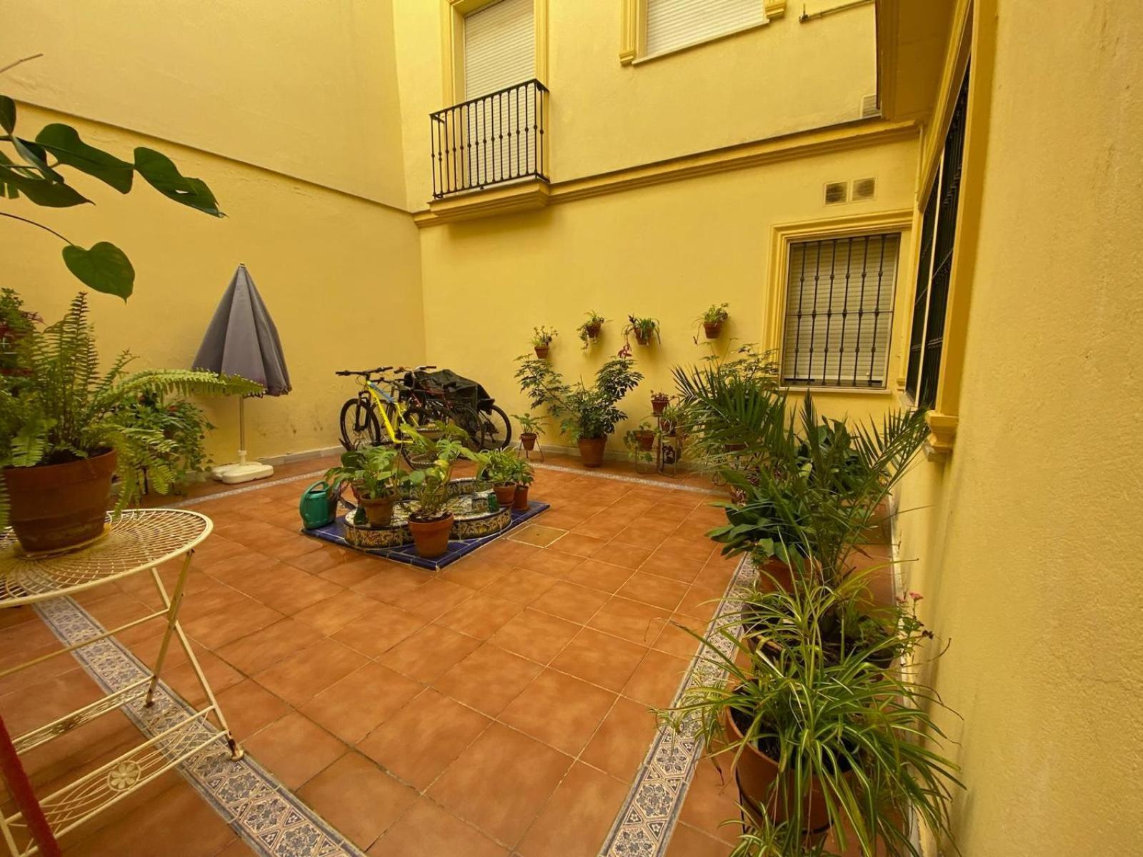 Apartamento La Azotea Del Sol Sevilla Exterior foto