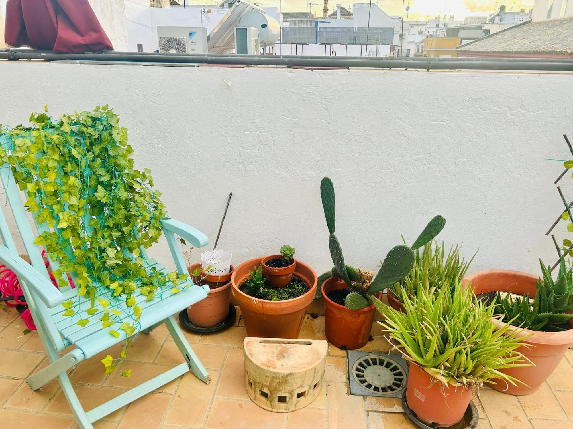 Apartamento La Azotea Del Sol Sevilla Exterior foto